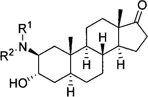 General reaction scheme showing Lewis acid catalyzed ring opening of 2,3α-epoxy-5α-androst-17-one with various amines to form 3α-hydroxy-2β-amino derivatives