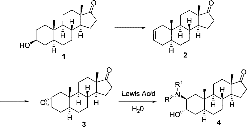 Complete synthetic route from 5α-androst-2-en-17-one to 3α-hydroxy-2β-amino derivatives showing epoxidation and subsequent Lewis acid catalyzed ring opening