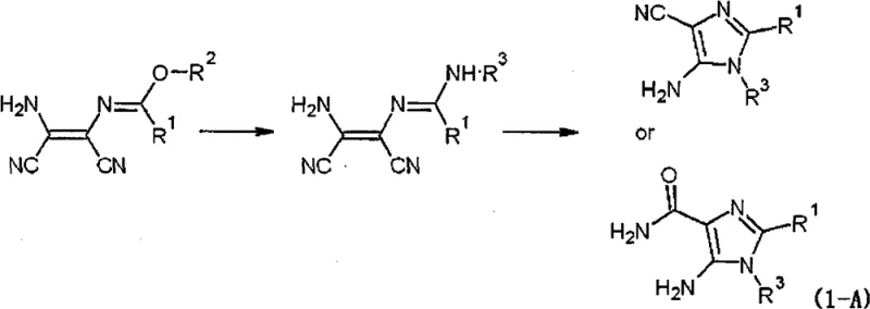 Reaction scheme 1-A showing conversion of RMD to AMD and then to AICN or AICA