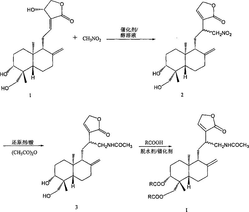 Complete three-step synthesis route from Andrographolide to Target Compound I via nitro and amino intermediates