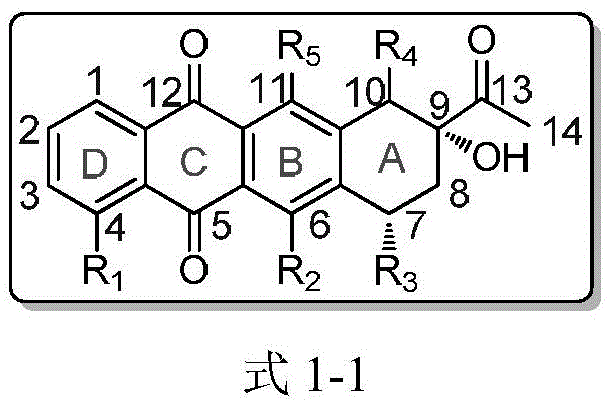 Chemical structure of traditional anthracycline aglycone showing the tetracyclic chromophore core