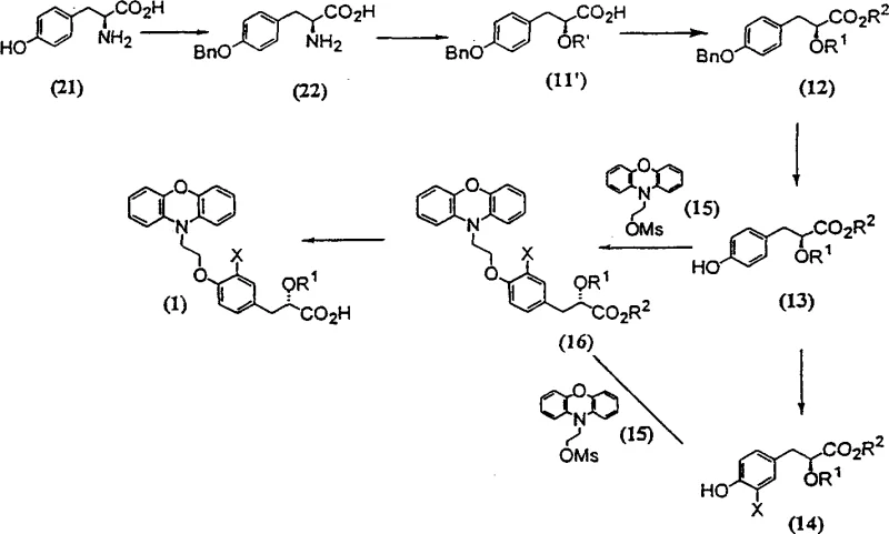 Alternative synthesis Scheme-6 utilizing L-Tyrosine chiral pool