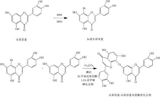 Reaction scheme illustrating the synthesis of luteolin-luteolin homodimer using similar bromination and coupling protocols