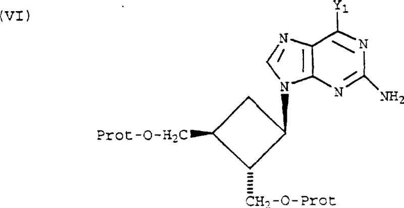 Structure of the coupled cyclobutylpurine intermediate Formula VI showing the protected hydroxymethyl groups