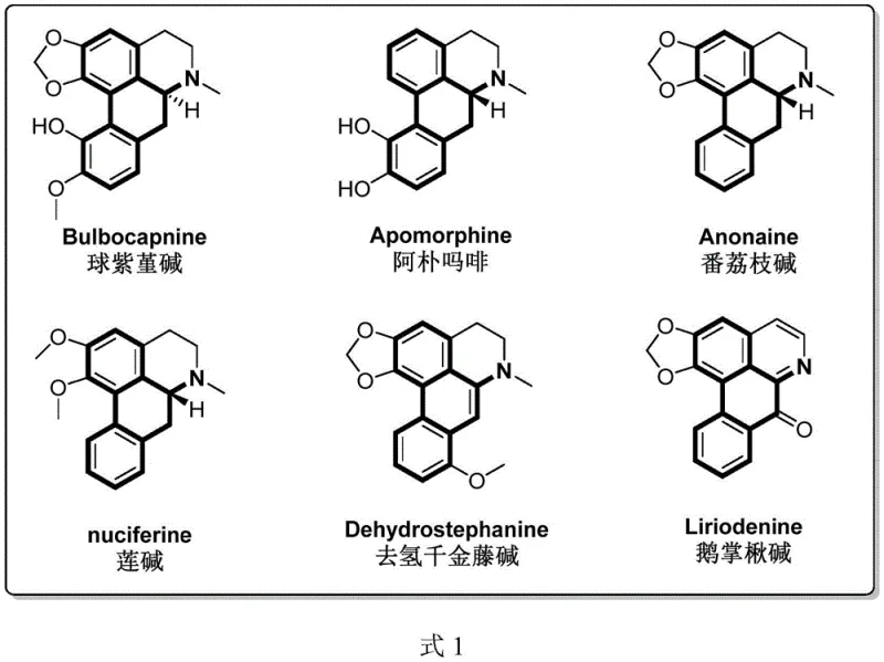Chemical structures of common apophylline alkaloids including Bulbocapnine and Apomorphine