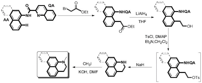 Overall synthetic route showing alkylation, reduction, and cyclization steps to form aporphine alkaloids