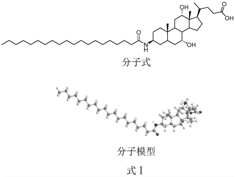 Molecular structure and 3D model of Aramchol showing the amide bond linkage between arachidic acid and cholic acid