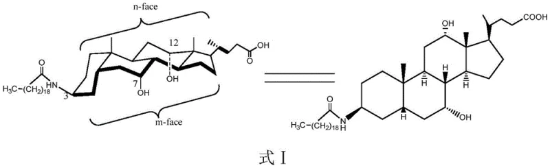 Chemical structure of Aramchol showing the amide linkage between cholic acid and arachidic acid