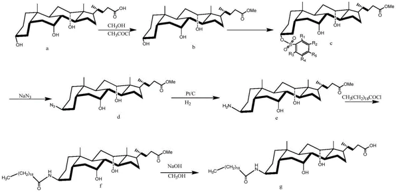 Overall synthetic route of the invention showing the streamlined conversion from cholic acid to Aramchol