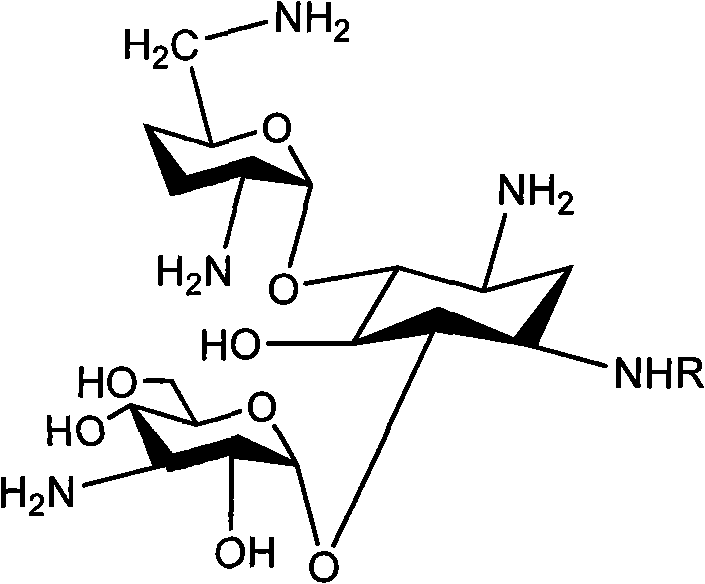 Chemical structure of Arbekacin and Dibekacin showing the core aminoglycoside scaffold