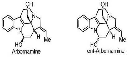 Chemical structures of Arbornamine and ent-Arbornamine showing stereochemistry