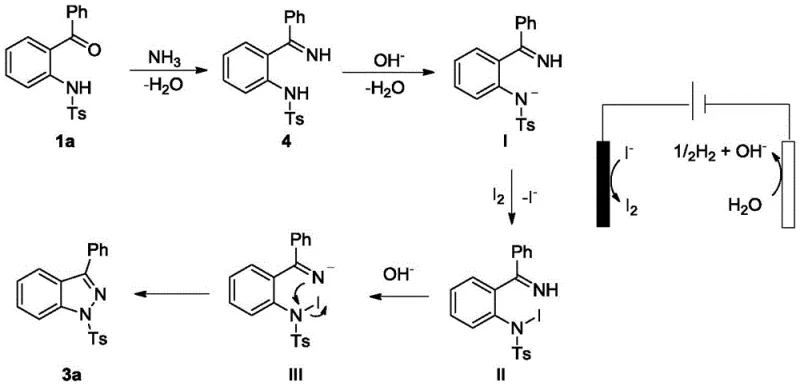 Proposed catalytic cycle and reaction mechanism showing anodic oxidation of iodide and intramolecular N-N coupling