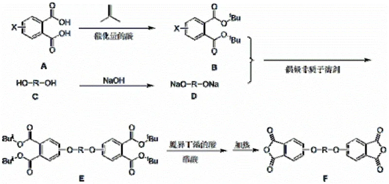 Reaction mechanism showing protection, etherification, deprotection and cyclization