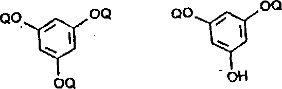 Specific heterocyclic artemisinin derivative structure demonstrating the diversity of possible substitutions