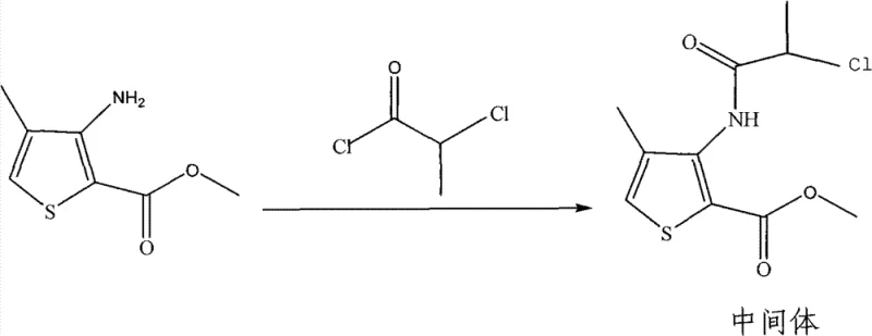 Detailed reaction mechanism of the amidation step using triethylamine catalyst