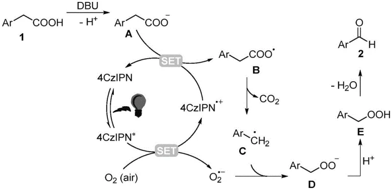 Detailed catalytic cycle mechanism illustrating SET, decarboxylation, and oxygen insertion steps
