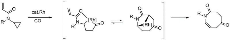Rhodium catalyzed cycloaddition fragmentation strategy for azocane synthesis