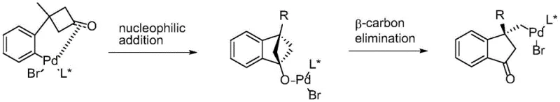 Palladium catalyzed enantioselective ring opening of cyclobutanones