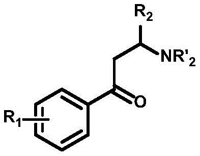 General chemical structure of the synthesized aryl beta-aminoketone compound