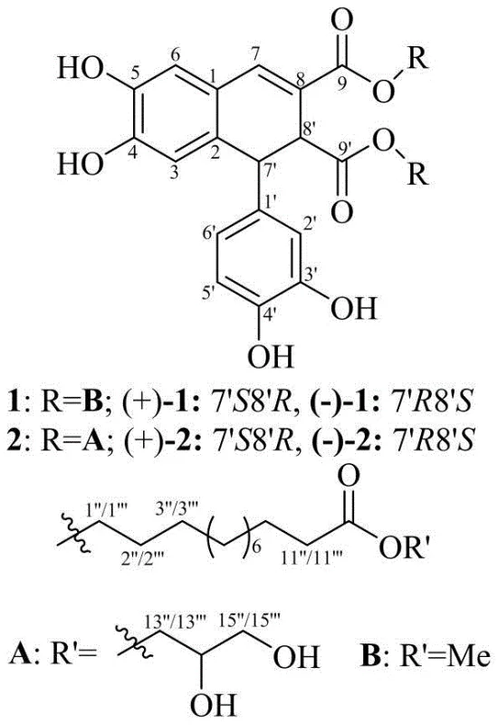 General structural formula of aryl dihydronaphthalene lignans showing variable R groups for Compound 1 and 2