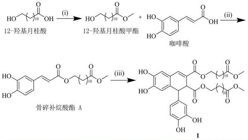 Synthetic route of Compound 1 involving methylation, esterification, and oxidative coupling