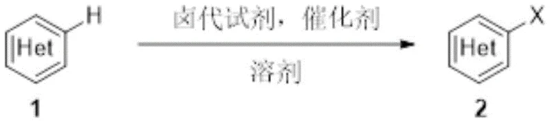 General reaction scheme for tertiary amine catalyzed halogenation of aromatic compounds