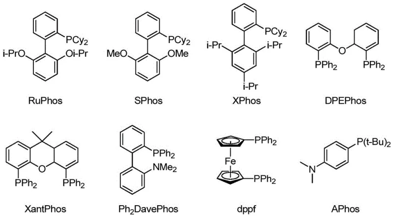 Library of phosphine ligands including RuPhos, SPhos, XPhos, and dppf used in optimization