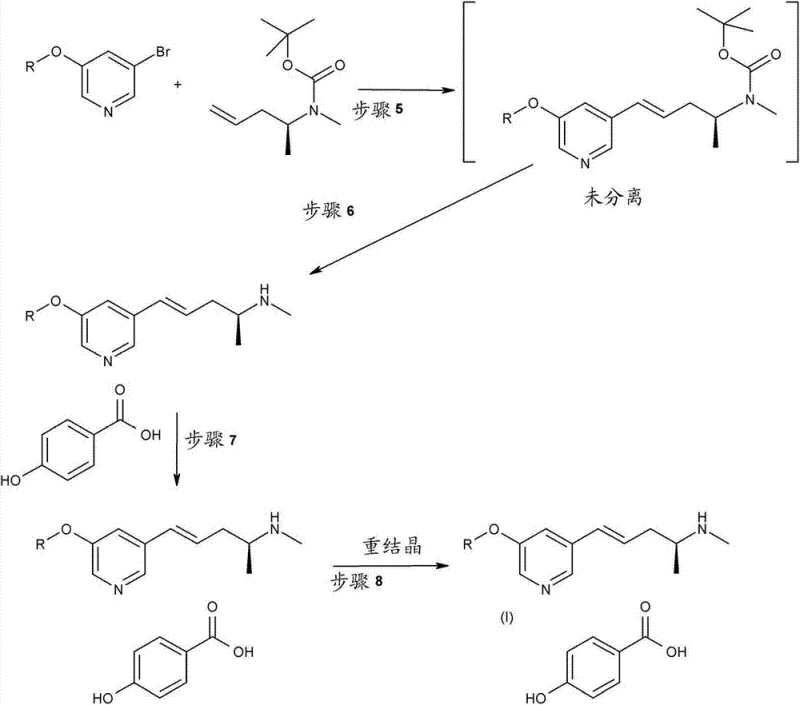 Reaction Scheme 2 illustrating the alternative salt formation for purification