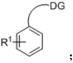 Structure of Raw Material A showing the aromatic ring with directing group DG