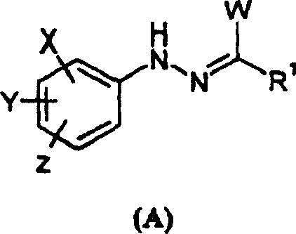 General structure of amidrazone intermediate (Formula A) used in synthesis