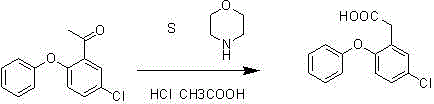 Reaction scheme showing the conversion of 1-(5-chloro-2-phenoxy-phenyl)-ethanone to (4-chloro-2-phenoxyphenyl)acetic acid using sulfur, morpholine, and acid hydrolysis