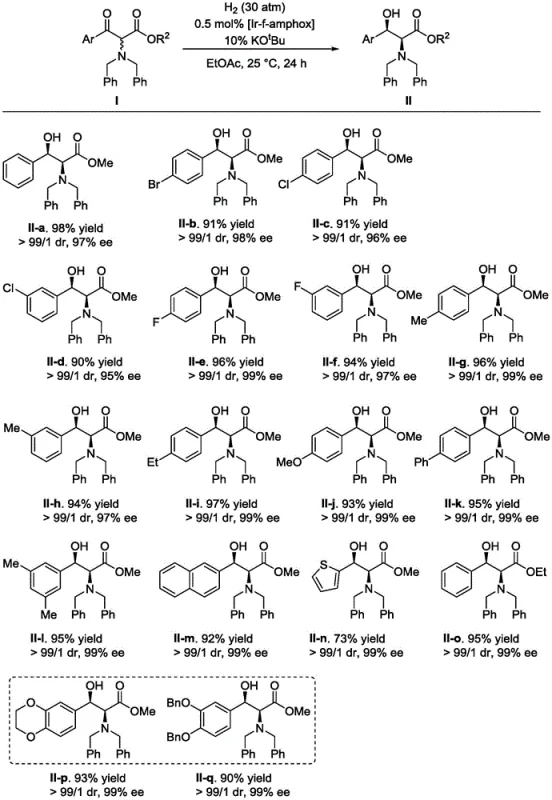 Substrate scope table demonstrating high yields and selectivity for various derivatives