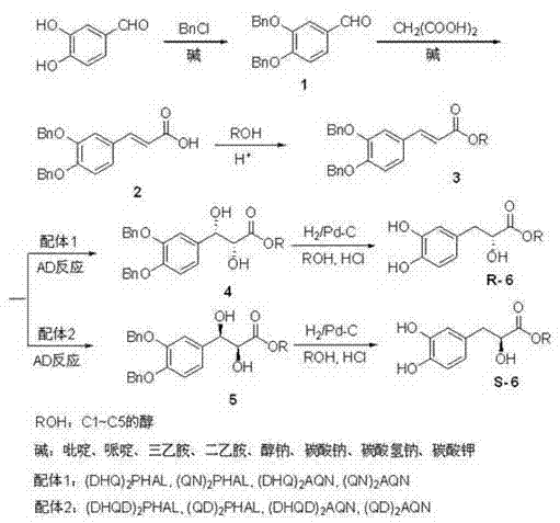 Complete synthetic route for 3-(3,4-dihydroxyphenyl)-2-hydroxypropionate via asymmetric dihydroxylation