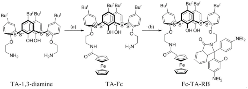 Synthetic reaction scheme showing the stepwise conversion of TA-1,3-diamine to TA-Fc and finally to Fc-TA-RB