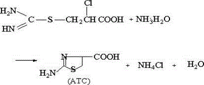 Cyclization reaction converting the intermediate into 2-amino-Δ2-thiazoline-4-carboxylic acid (ATC)