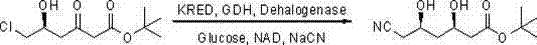 Reaction scheme showing the one-pot conversion of chloro-ketone to cyano-diol using KRED, GDH, and Dehalogenase