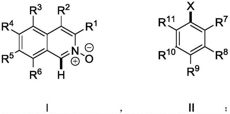 General reaction scheme showing Pd-catalyzed direct C-H arylation of isoquinoline N-oxide with aryl halide to form atropisomeric product