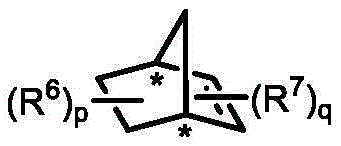 Structure of the chiral norbornene derivative used as a key mediator in the catalytic cycle