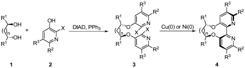 General synthetic route showing Mitsunobu reaction followed by Ullmann coupling