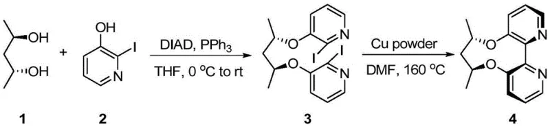 Specific example of Copper powder promoted Ullmann coupling synthesis