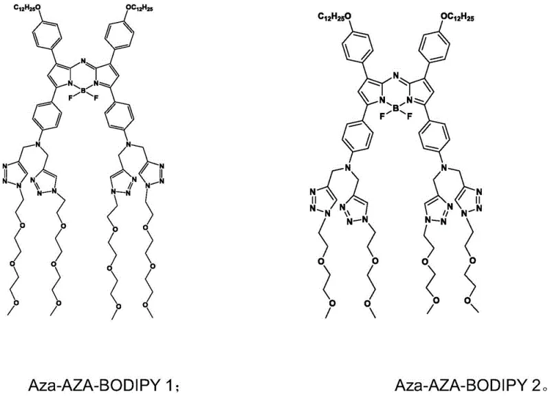 Chemical structures of Aza-AZA-BODIPY 1 and 2 showing hydrophilic chains