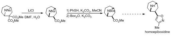 Synthesis pathway converting aza bridged ring intermediate to homoepibxidine