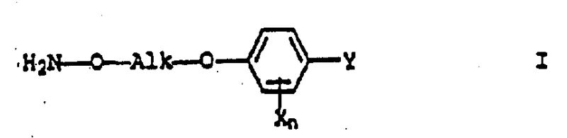 General Formula I structure of Azanol Ether intermediates