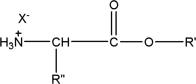 Protonated structure of amino acid ester hydrohalide prior to deprotonation