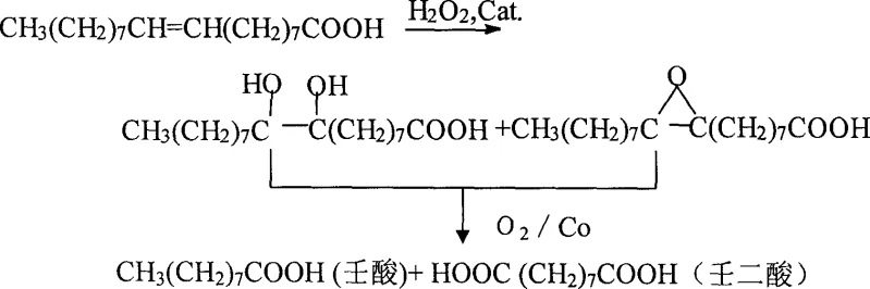Reaction scheme showing the two-step oxidation of oleic acid to azelaic acid and nonanoic acid via epoxide/diol intermediates using H2O2 and O2/Co catalysts