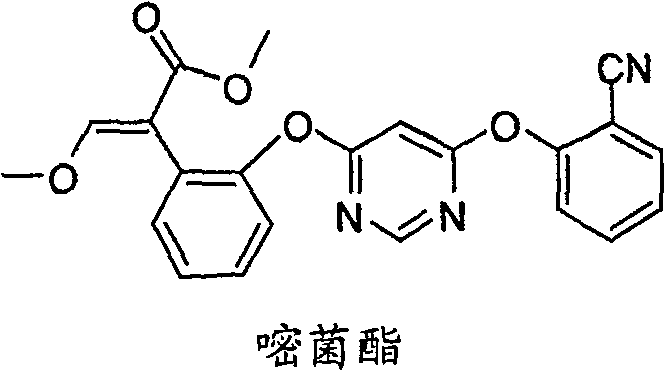 Chemical structure of Azoxystrobin showing the methoxyacrylate pharmacophore and pyrimidine ether linkage