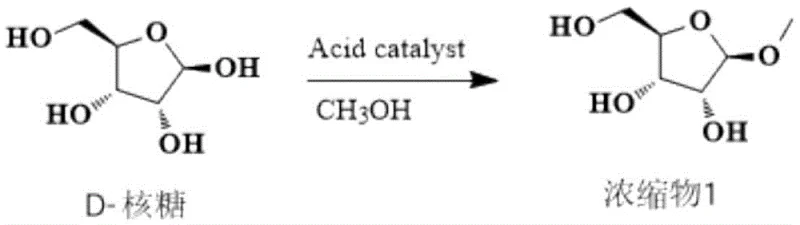 Step 1 Reaction Scheme: Acid-catalyzed esterification of D-Ribose to Methyl Riboside