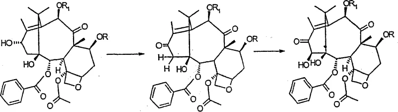 Reaction scheme illustrating oxidation at C-13 and hydroxylation at C-14 positions