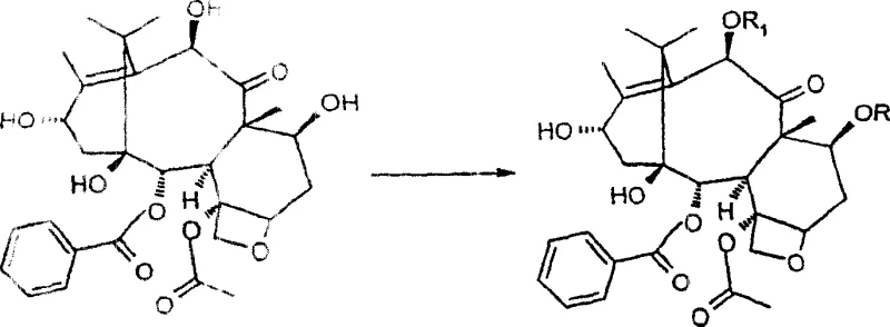 Protection of 7 and 10 position hydroxyls in 10-deacetylbaccatin III
