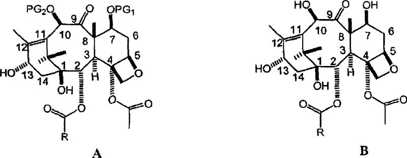 Specific examples of converting 10-deacetylbaccatin III derivatives to 7-triethylsilyl baccatin III compounds